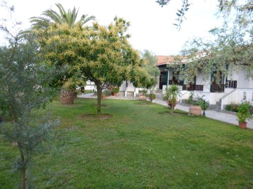 Gallery image of Villa Dafni Studios in Limenas