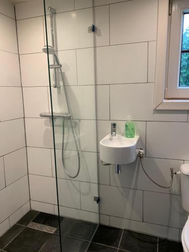 a bathroom with a shower and a sink at Authentic Dikehouse at sea in Walsoorden