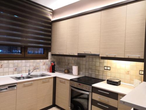 Η κουζίνα ή μικρή κουζίνα στο Gekas deluxe apartment