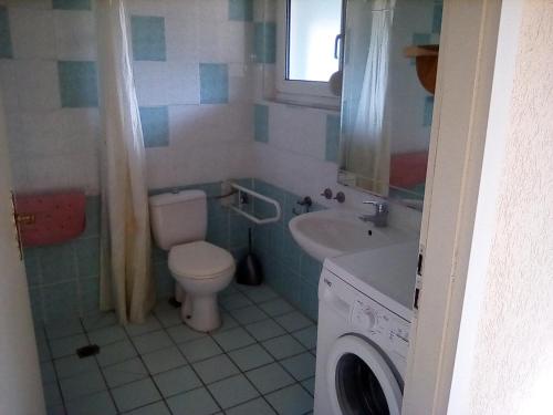 a bathroom with a toilet sink and a washing machine at Les gîtes du lindenberg in Dambach