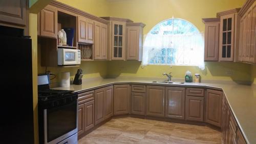 uma cozinha com armários de madeira, um lavatório e uma janela em Villa Malvina em Whitehouse