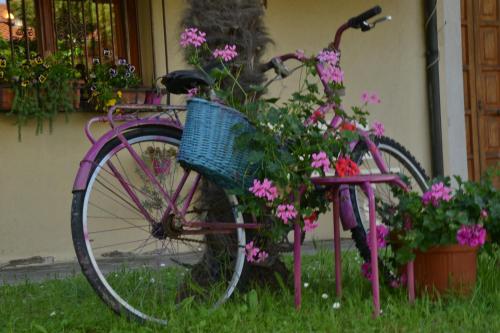 Gallery image of B&B Al Mare Di Greis in Lido Adriano