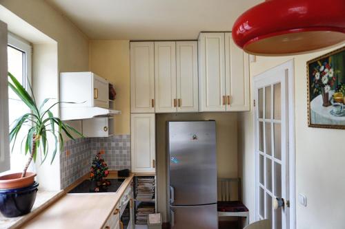 Dapur atau dapur kecil di Bellevue Apartment with AC & heating & terrace