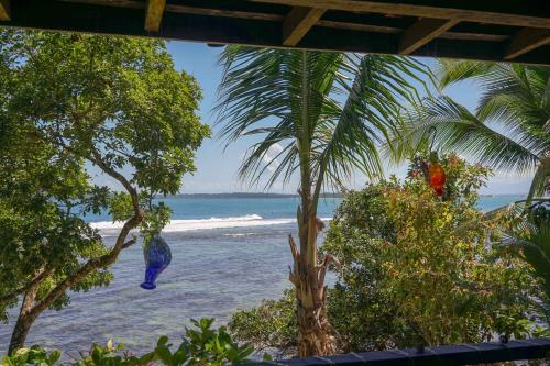 a view of a beach with a palm tree and the ocean at Mosana Reef Garden B&B in Bocas del Toro