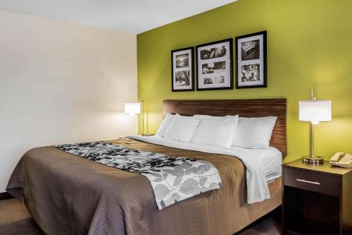 Sleep Inn & Suites Dothan Northにあるベッド