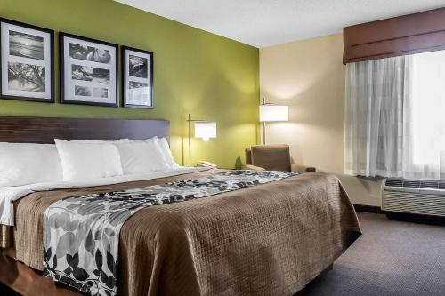 Säng eller sängar i ett rum på Sleep Inn & Suites Dothan North
