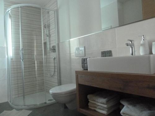 a bathroom with a shower and a toilet and a sink at Chalet Morin in San Martino in Badia