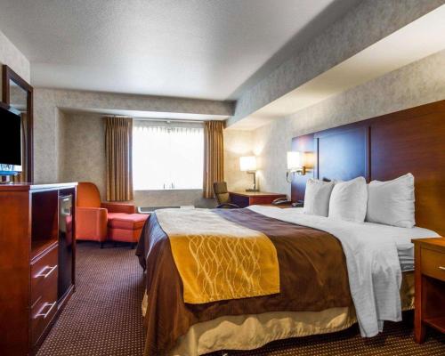 um quarto de hotel com uma cama e uma televisão em Comfort Inn Watsonville em Watsonville