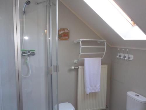La salle de bains est pourvue d'une douche, de toilettes et d'un lavabo. dans l'établissement hoevehotel ter haeghe, à Gistel