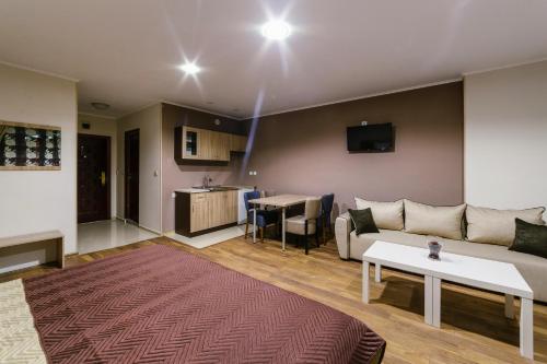 TV a/nebo společenská místnost v ubytování Family Hotel Ring & Thermal