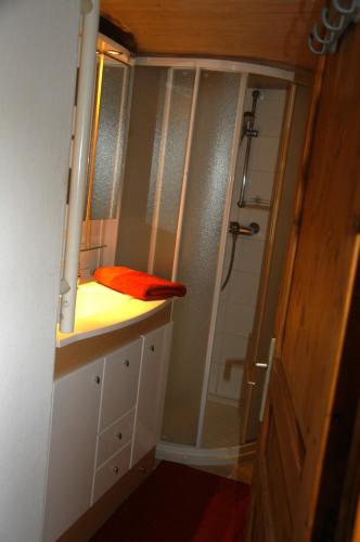 La petite salle de bains est pourvue d'une douche et d'un lavabo. dans l'établissement Chalet de la Fressine, à Alex