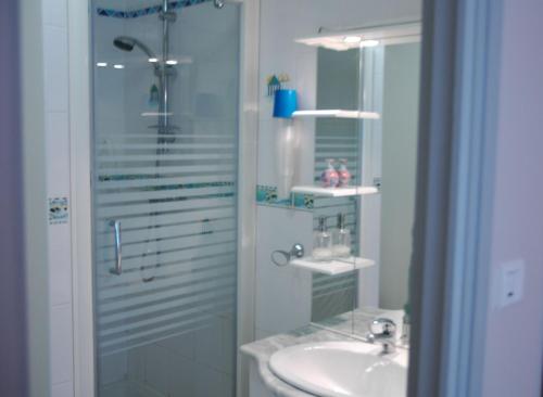 y baño con ducha acristalada y lavamanos. en Chambre D'Hôtes Mont D'Hermine, en Arradon
