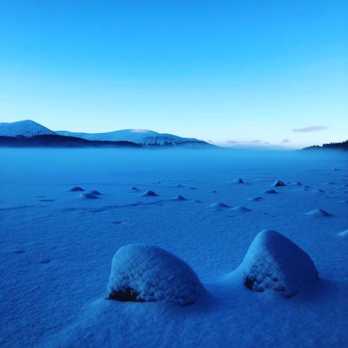 two snow domes in the middle of a snowy field at Ravenscraig Guest House in Aviemore
