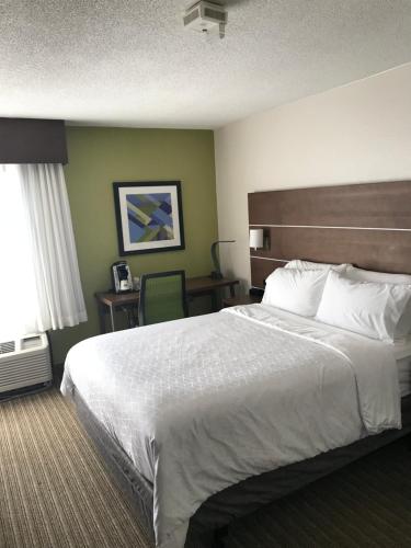 a hotel room with a large bed and a desk at Holiday Inn Express Memphis Medical Center - Midtown, an IHG Hotel in Memphis
