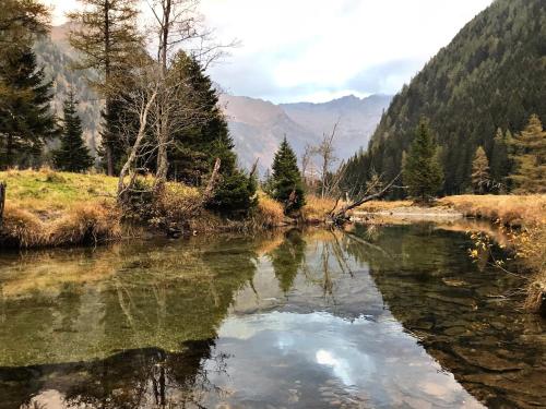 a river in the middle of a valley with trees at Das AlpenLoft in Mallnitz