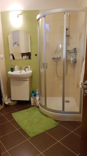 uma casa de banho com um chuveiro e um lavatório. em Apartment Tánička - Chopok Juh, Tále em Brezno