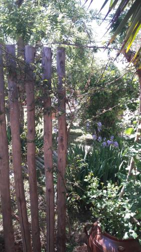 une clôture en bois dans un jardin avec des fleurs violettes dans l'établissement Studio dans jardin, à Sète