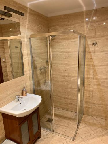a bathroom with a sink and a shower at Chata nad Sztolnią in Bystrzyca Górna