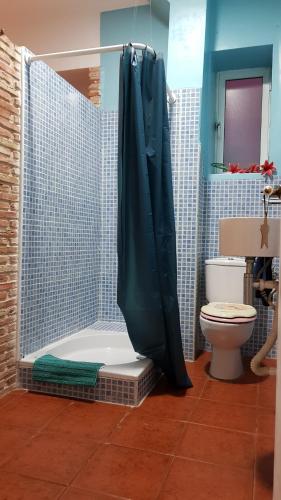 ムルシアにあるMurcia Centroのバスルーム(シャワー、トイレ、シャワーカーテン付)
