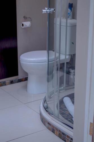 a bathroom with a toilet and a glass shower at 314 on Clark Guest House in Pretoria