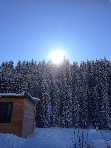 a cabin in the snow with the sun behind trees at Eirl DOLOMITES Retreat Sappada in Sappada