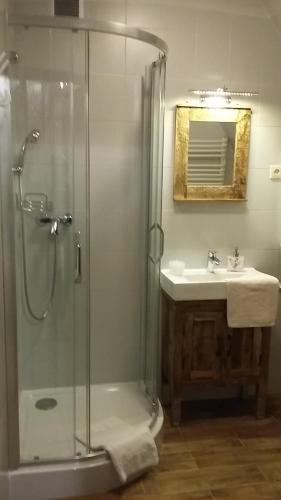 a bathroom with a shower and a sink at Apartamenty Malinka in Zakopane