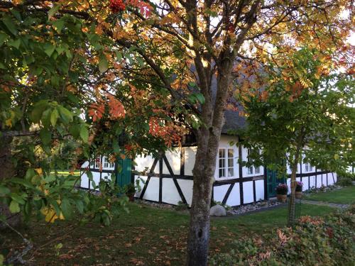 a white house with a tree in front of it at Troense Bed and Breakfast by the sea in Svendborg