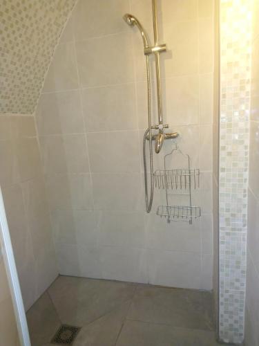 La salle de bains est pourvue d'une douche avec rideau de douche. dans l'établissement La Soubeyranne, à Mende