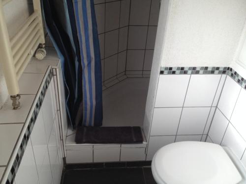 a small bathroom with a toilet and a shower at Hotel Saarland Lebach in Lebach