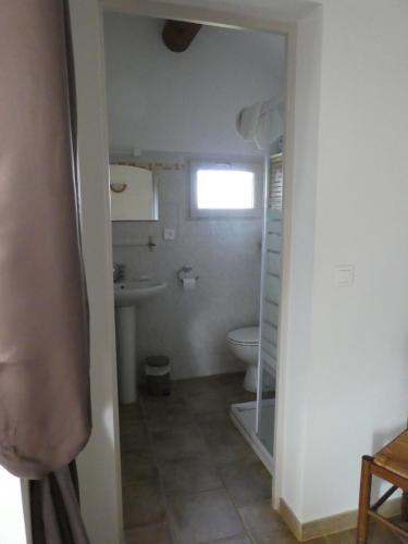 une salle de bain avec toilettes et lavabo dans l'établissement Les Biguières, à Maubec