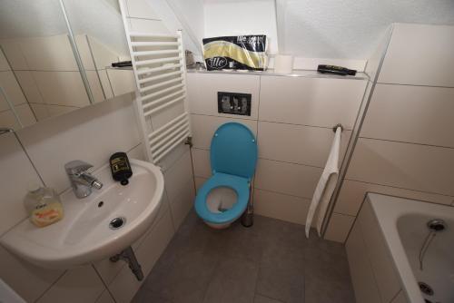 Baño pequeño con aseo azul y lavamanos en Apartment Ostfildern-Nellingen II en Ostfildern