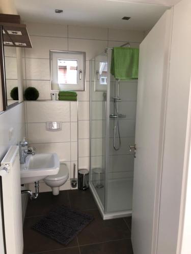 a bathroom with a shower and a sink and a toilet at Ferienhaus Neumeyer in Schönau
