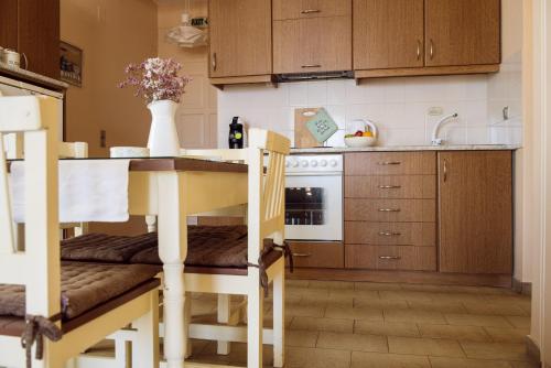 Kuchyň nebo kuchyňský kout v ubytování Elaia Boutique Apartments