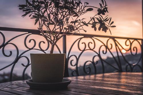 Gallery image of Elaia Boutique Apartments in Gaios
