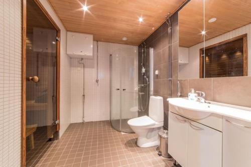 ein Bad mit einem WC, einer Dusche und einem Waschbecken in der Unterkunft Villa Ylläs 102 in Ylläsjärvi