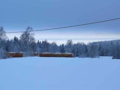 a train in the snow with trees in the background at Det Gamla Panget in Tällberg