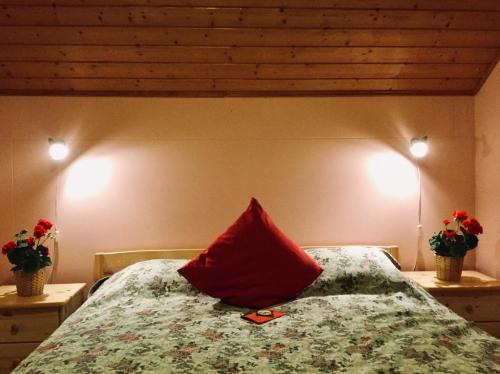 プンカハルユにあるMannimaatila Tera Luxの赤い枕