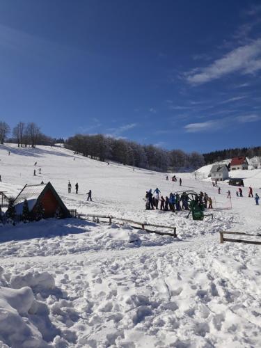 a group of people standing in the snow at Holiday Home Vile Calimero in Žabljak