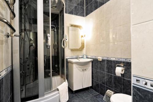 e bagno con doccia, servizi igienici e lavandino. di Квартира на Золотых воротах, Центр a Kiev