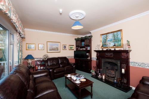 a living room with leather furniture and a fireplace at The Waterfront House Country Home in Oughterard