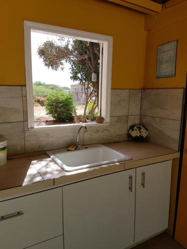 uma cozinha com um lavatório e uma janela em Villa Chichila em Kralendijk