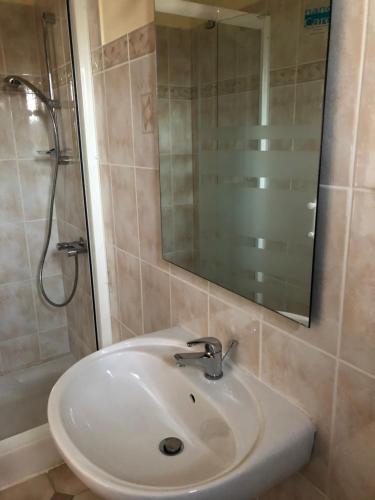 a bathroom with a sink and a shower and a mirror at Appartement de l'olivier in Saintes-Maries-de-la-Mer