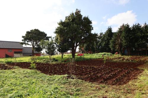 a field with a fence and trees in the background at Casa D'Avo Beatriz in Gaula
