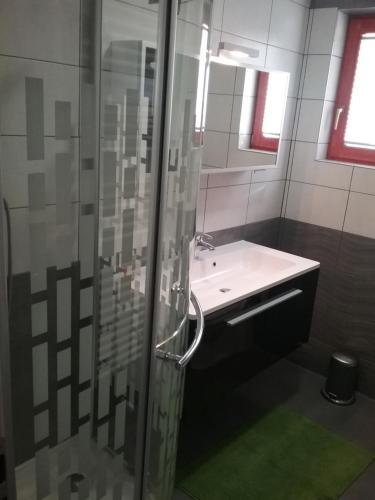 a bathroom with a glass shower and a sink at Hudinja 111 in Vitanje