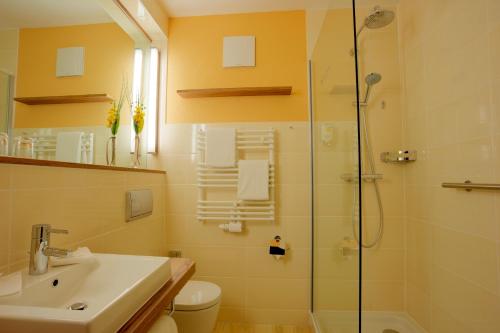 a bathroom with a shower and a sink at Hotel Am Badepark in Bad Zwischenahn
