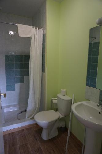 a bathroom with a toilet and a sink and a shower at Gîte des Grands Causses in Millau