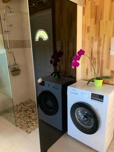 a washer and dryer with flowers on a counter at Les Bungalows de la Sucrerie in Le François