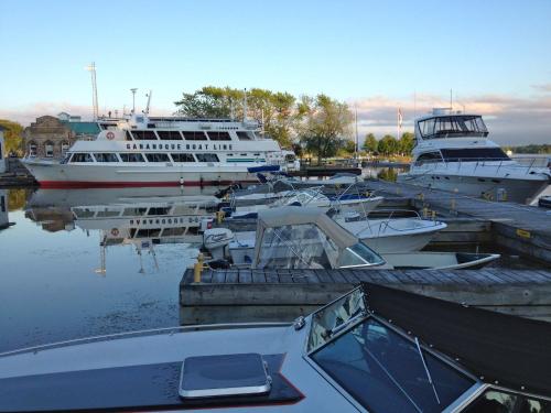 a group of boats docked in a marina at West Gate Bed and Breakfast in Gananoque