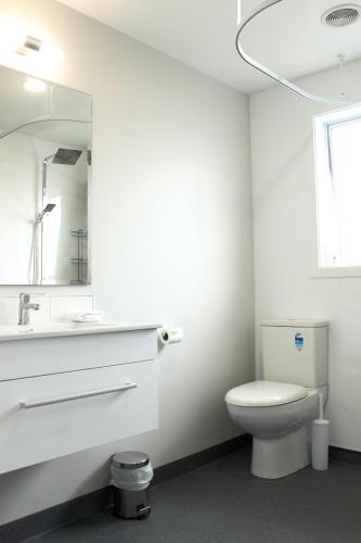 a bathroom with a toilet and a sink and a mirror at Colonial Motel in Invercargill