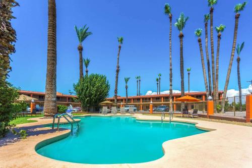 a beach with a pool and palm trees at Howard Johnson by Wyndham Phoenix Airport/Downtown Area in Phoenix